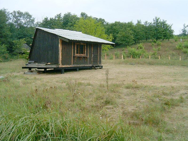 2009.08.23 001.jpg